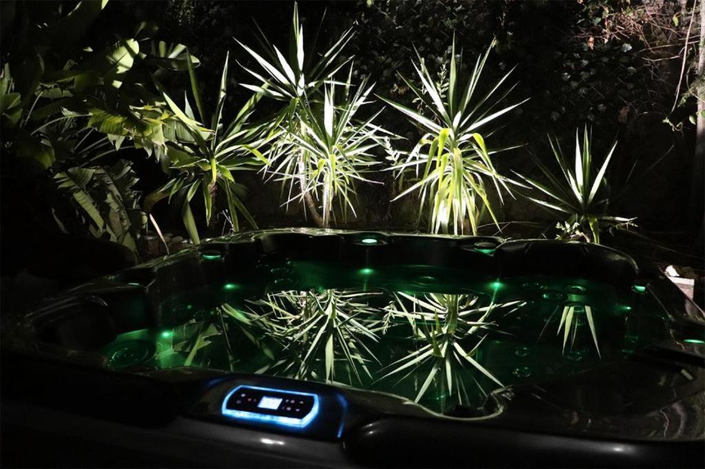 Luxury Jacuzzi Home & Terraces Malaga Luaran gambar